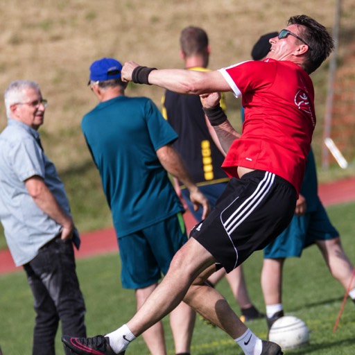 Faustball Steinmalig