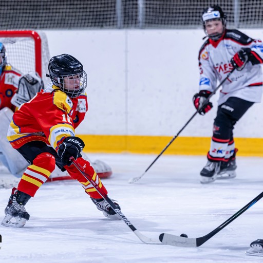 EHC Rheinfelden U15 vs Aargovia Stars