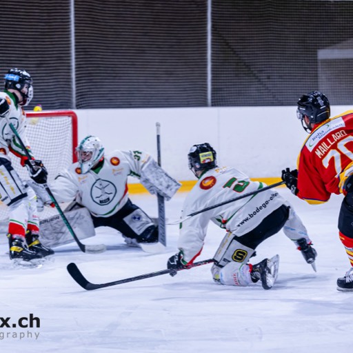 EHC Rheinfelden vs Altstadt Olten Playouts 4/5