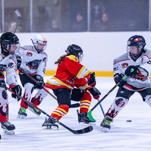 EHC Rheinfelden U13 vs HC NWU Black U13